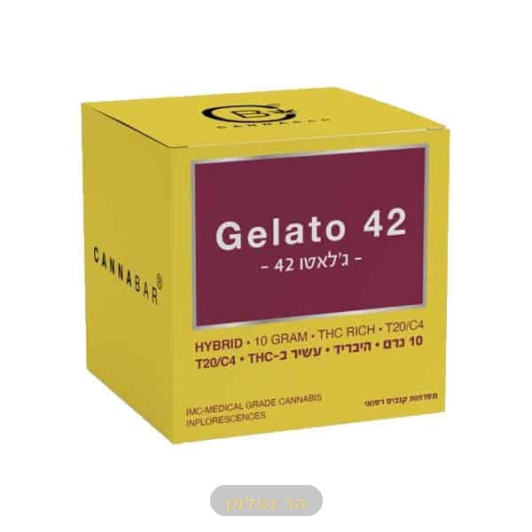 ג'לאטו 42