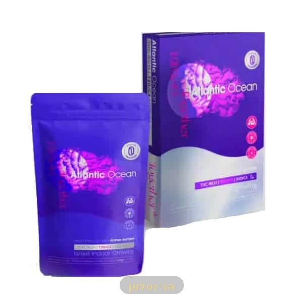 אוקיינוס אטלנטי