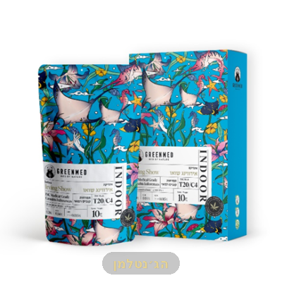 אירווינג שאו