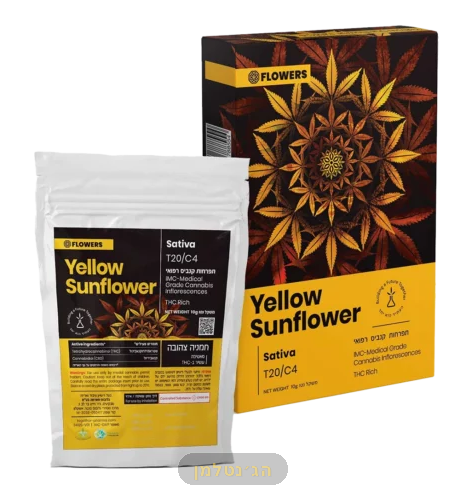 חמנייה צהובה